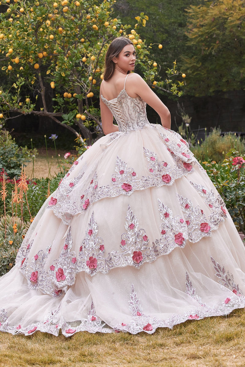 LAYERED TULLE QUINCE BALL GOWN WITH FORAL APPLIQUE
