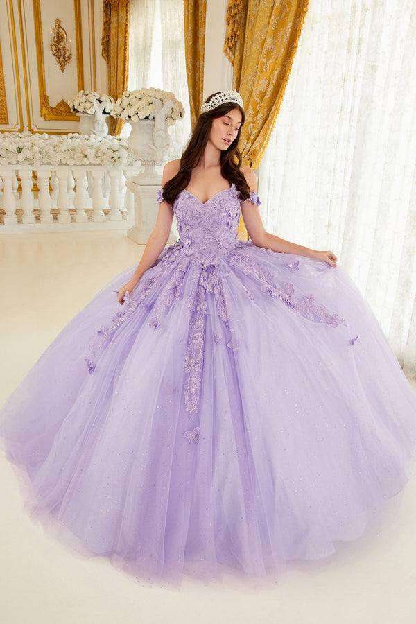 LAYERED TULLE BALL GOWN WITH LACE APPLIQUE
