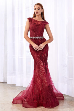 Lace Fit and Flare Dress
