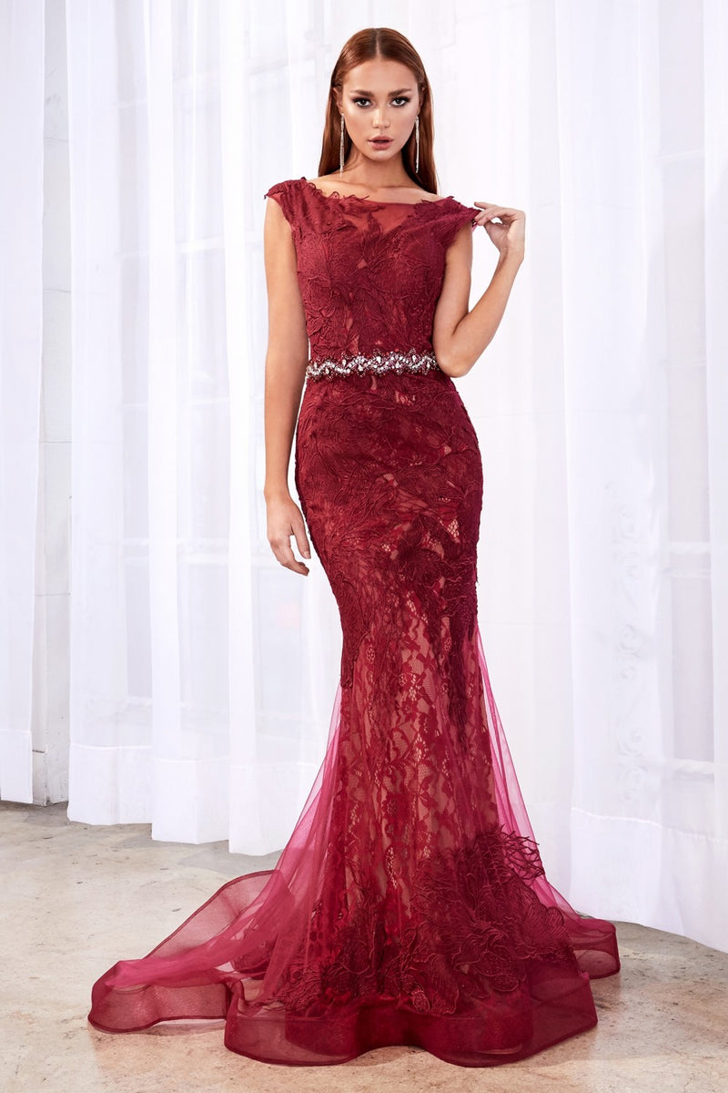Lace Fit and Flare Dress