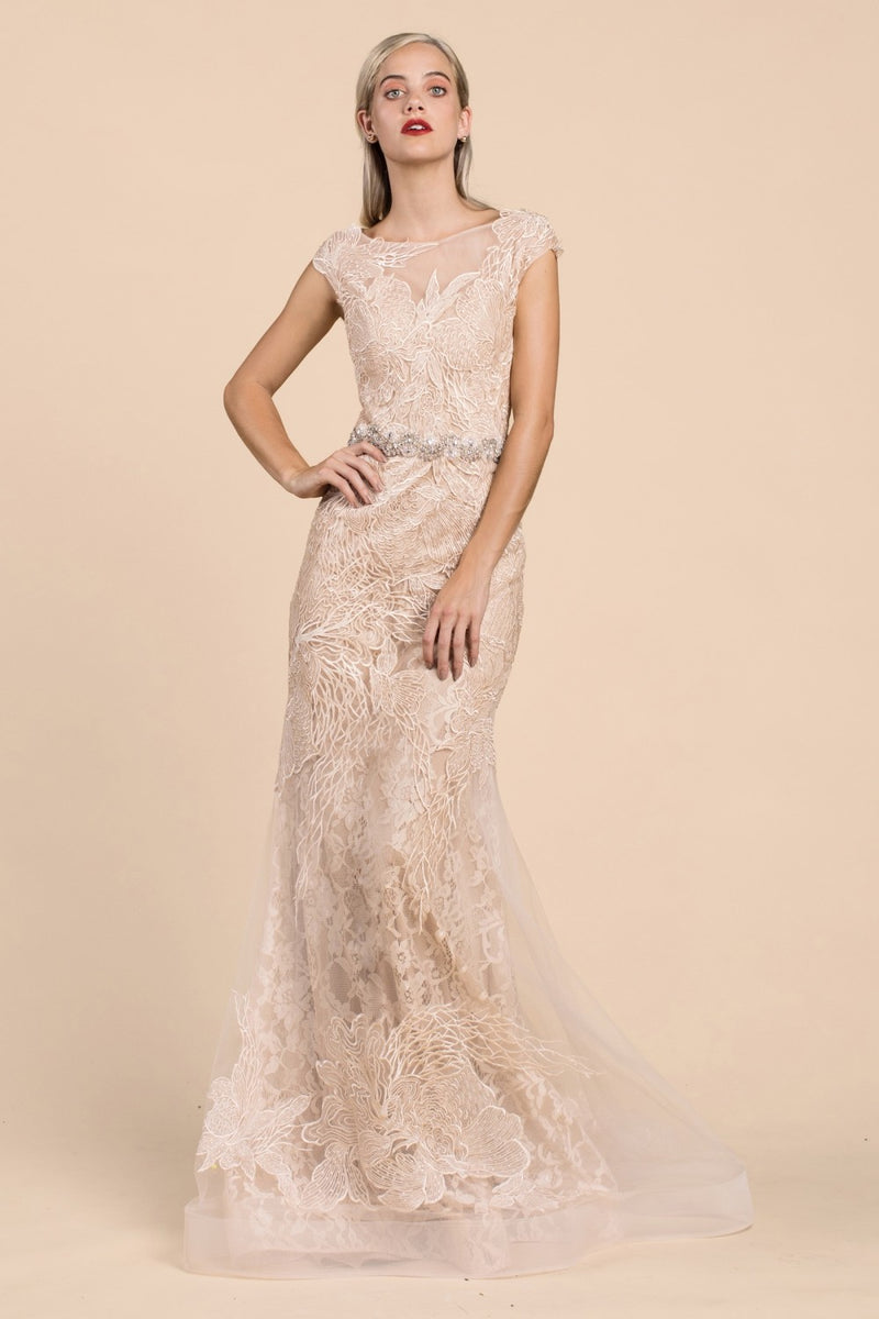 Lace Fit and Flare Dress