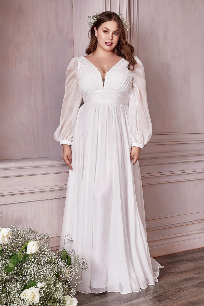 Chiffon Long Sleeve Bridal Gown