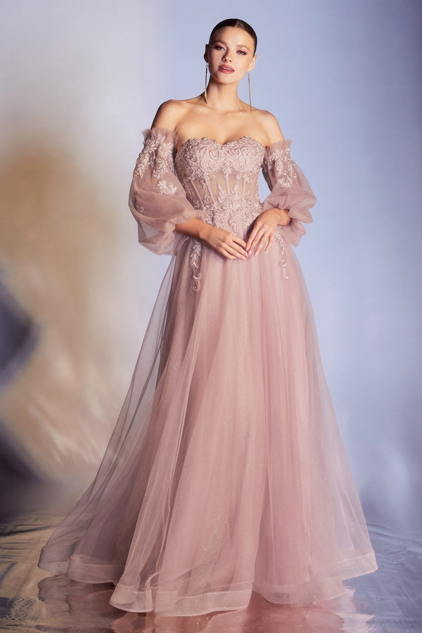 Applique Corset Gown By Cinderella Divine CD948