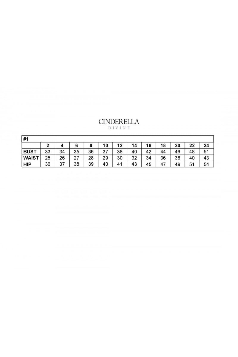 LONG A-LINE OMBRE GLITTER DRESS BY CINDERELLA DIVINE CD208