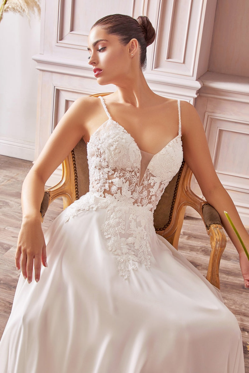 Applique A-line Chiffon Gown By Cinderella Divine TY11